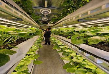 Agriculture Technology Takes Centre Stage